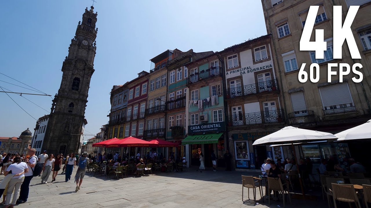 Embark on an immersive walking tour around Avenida dos Aliados.