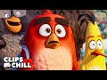 Pájaros VS Cerdos Las Mejores Escenas De Angry Birds Películas