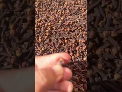 Brown indonesian cloves, imported quality cloves , long, clo...