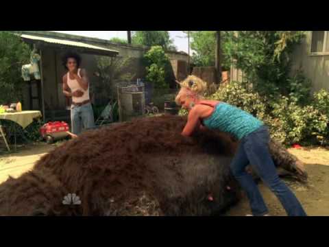 My Name Is Earl - Joy In the Pig :)