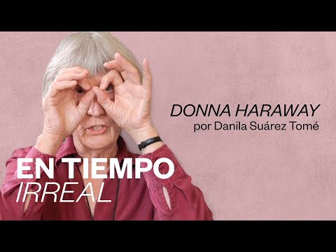 Irreal video