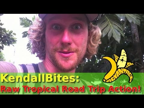 Kendall Bites, Raw Tropical Road Trip Action