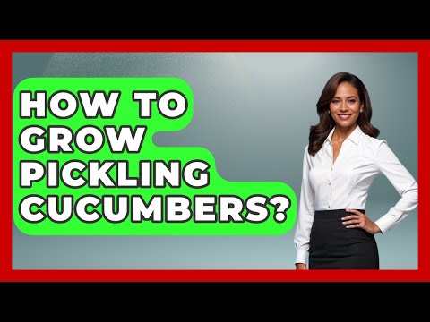 How To Grow Pickling Cucumbers? - Survival Skills for Everyone