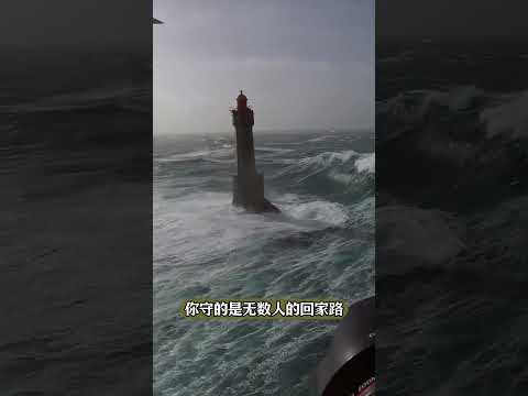 薪水再高，也沒人願意做的工作！#shorts | #紀錄片 #有趣  #creative