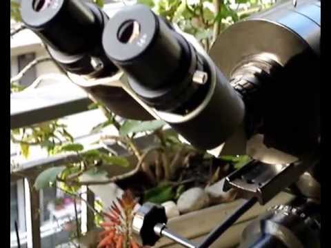 MY MAKSUTOV TELESCOPE MC MTO 11CA 10/1000 _ Binoviewer Baader Planetarium Maxbright_Part 2