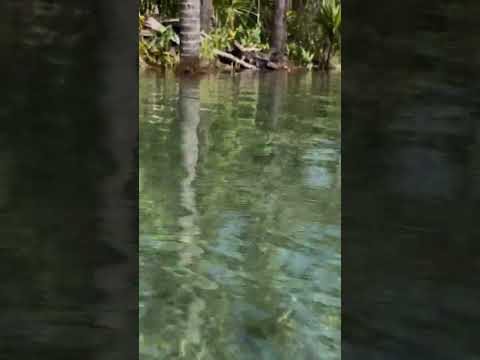 RIO MAGU - SANTANA DO MARANHÃO. #vlog #travel #nature #turismo #riomagu #valedomagu #valedoriomagu