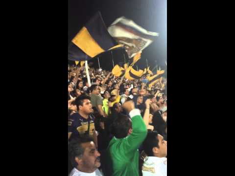 "Pumas vs tigres final" Barra: La Rebel &bull; Club: Pumas