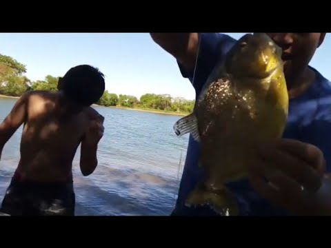 PESCARIA NA PRAINHA DE BREJO ALEGRE /PROXIMO AO PAREDÃO