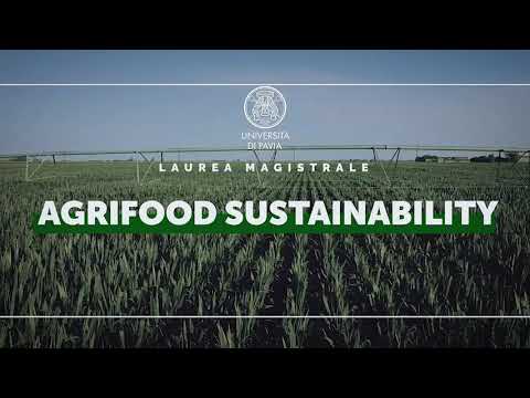 Paolo Bazzano - Agrifood sustainability Univ