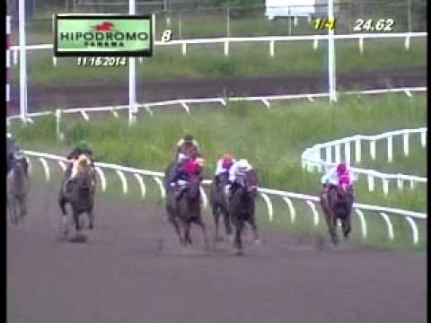 8VA CARRERA DEL DOMINGO 16 DE NOVIEMBRE 2014