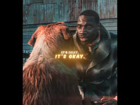 "Buck Lost His Master!" - Call of the Wild Edit | Камин - EMIN & JONY (slowed & reverb)