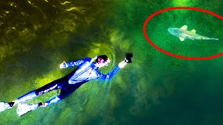 Swimming with Big Fish in Deep Water!