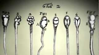 gonno - I don't need competition