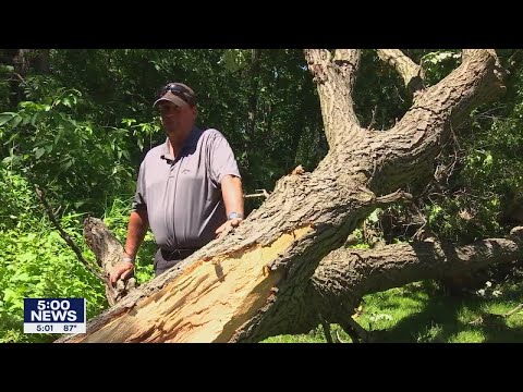 Communities cleaning storm damage I KMSP FOX 9