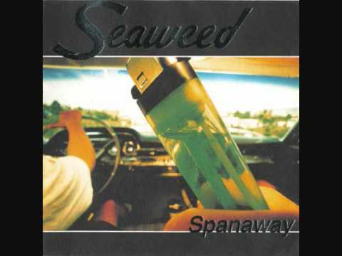 Seaweed - Not Saying Anything