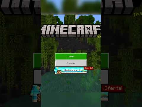 How to enter my minecraft server!