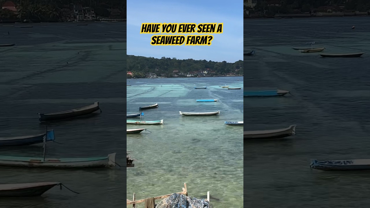 YouTube Short thumbnail