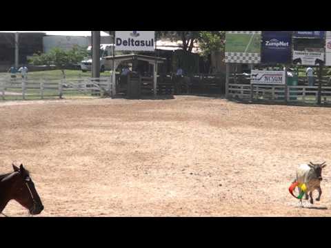 20º Rodeio do Conesul - Laço Comprido - Quinta Feira