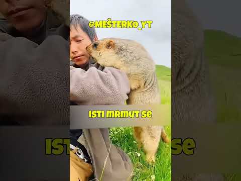 PRONASAO JE PRAVOG PRIJATELJA? #mesterko #recomended #viral #fyp