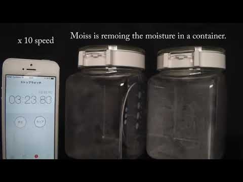 Пример работы Hosco MOISS2