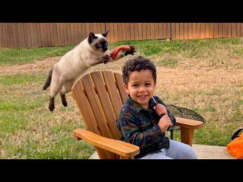 These Animal Moments Will Melt Your Heart ❤️ | Beautiful Moments of Animal