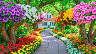 Deeply Relaxing Garden Escape 🌸 Let Nature Heal Your Mind ~ Easy Desig