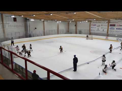 2021 11 28 Sipoon Wolf Musta - Blues U11 (25559)