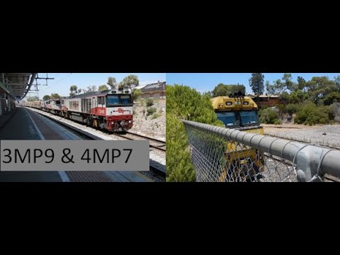 SCT Freight 3MP9 & PN Freight 4MP7 at Adelaide Showgrounds & Keswick - 15/01/2020
