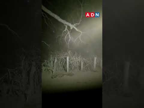 Impactantes imágenes tras tormenta de polvo en Curacautín