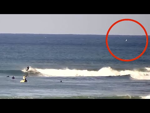 Great white spotted before the WSL Corona Open Jbay. As professional Surfers warm up on Live Webcam