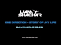 One Direction - Story of My Life (Liam Shachar ...