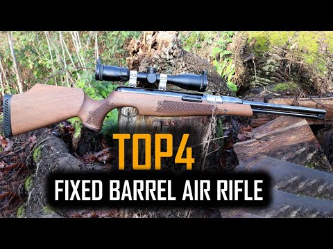 Top 4 Most Accurate Fixed Barrel Air Rifles In 2022