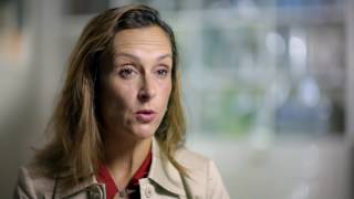 Raiders of the Holy Lance