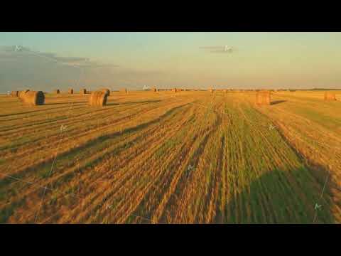 4K Fast Flight Above Rural Landscape Field Meadow With Hay Bales During Sunny Evening In Late Summer