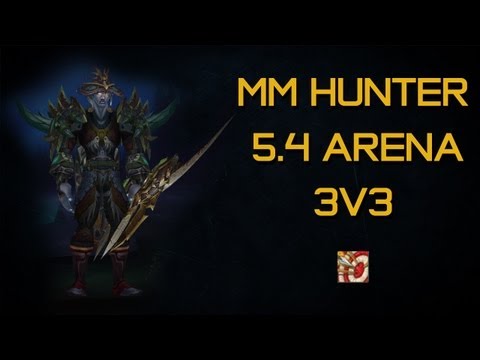 MM Hunter 3v3 Arenas 5.4 Low MMR