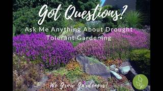 Drought Resistant Planting: Expert Webinar for Water-Smart Gardens #gardeningtips #gardening