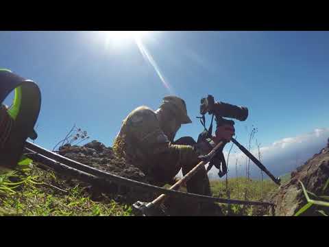 download lagu mp3 mp4 Fallow Deer Hunting Hawaii, download lagu Fallow Deer Hunting Hawaii gratis, unduh video klip Fallow Deer Hunting Hawaii