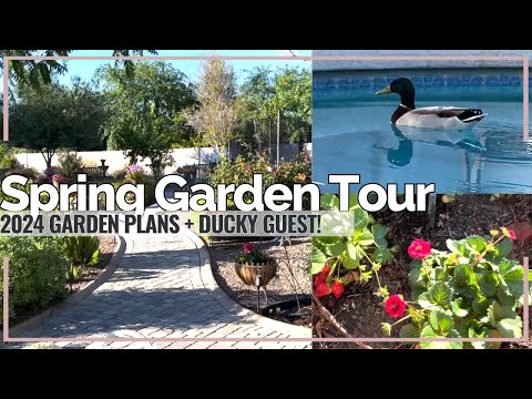 2024 Spring Garden Tour | Arizona Spring Garden Blooms | Garden Inspiration | Intentional Living
