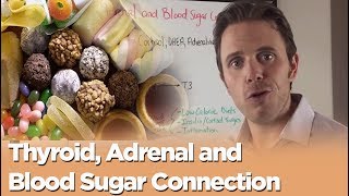 Thyroid, Adrenal and Blood Sugar Connection