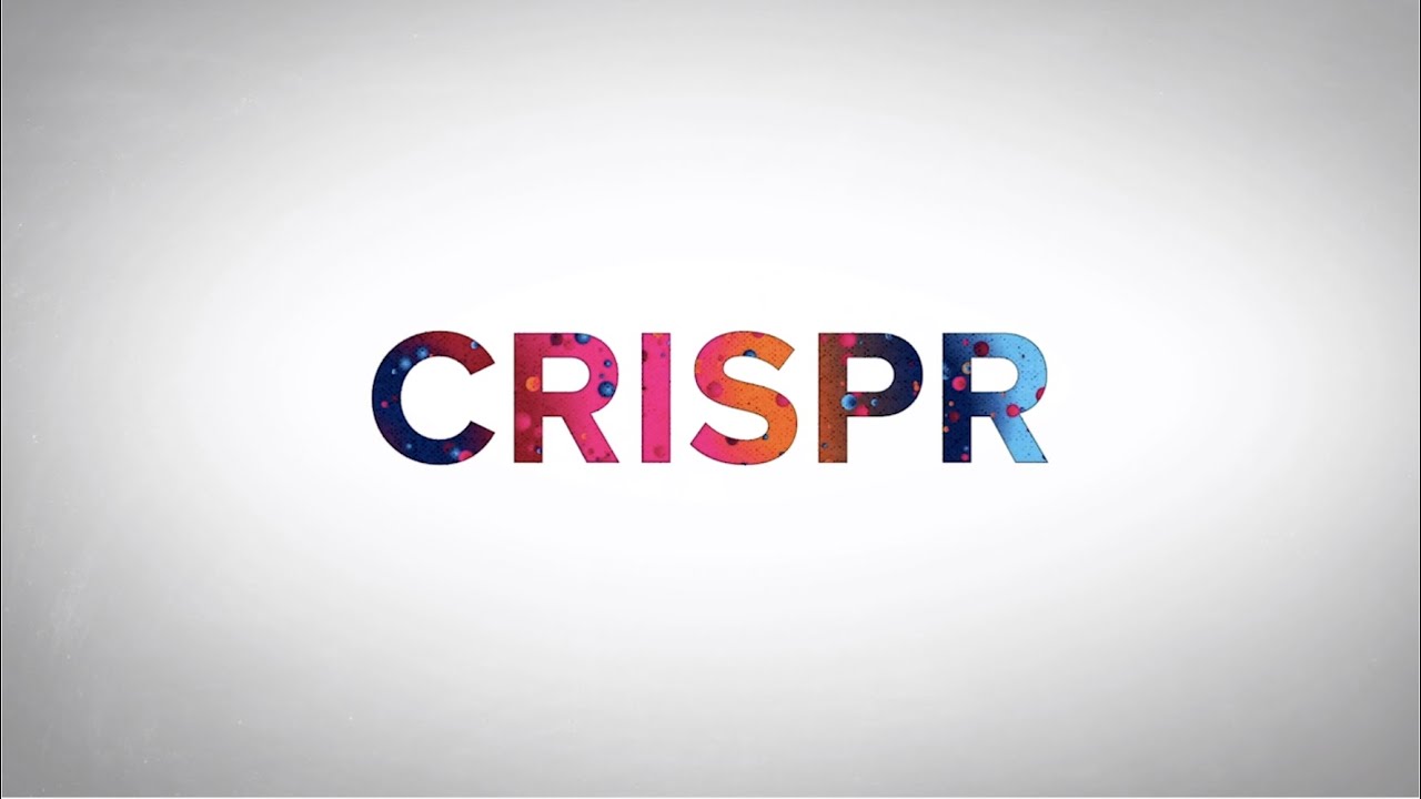 Watch video titled What is CRISPR? Penn Medicine Explains on YouTube