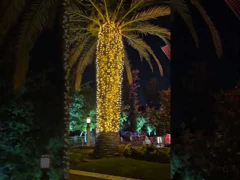 navidad 2025, Munipalidad de Providencia, Santiago de Chile