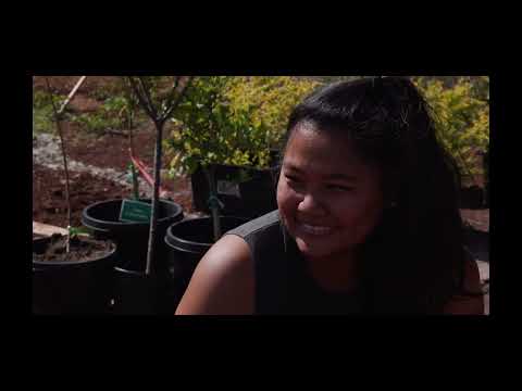 Lāhainā Town by Steve Grimes