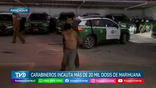 En Rancagua Carabineros logra detención e incautación de 20 mil dosis de marihuana elaborada y armas