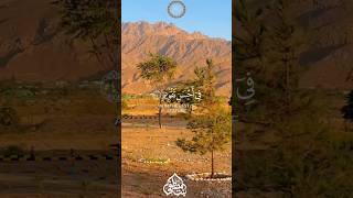 Download lagu #bismillahfyp #surahteen #surahtin #viral mp3