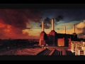 Pink Floyd – Pigs