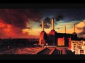 Pink Floyd - Pigs (Three Different Ones) 
