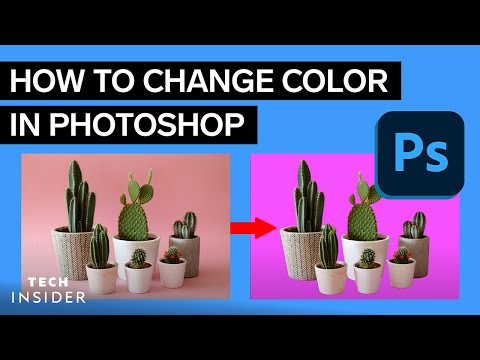 How To Change The Background Color In Photoshop