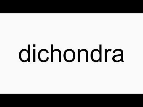 How to pronounce dichondra