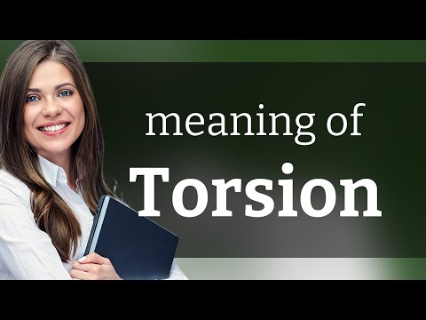 Torsion • what is TORSION meaning