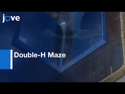 Double-H Maze: Robust Behavioral Test For Learning & Memory In Rodents l Protocol Preview